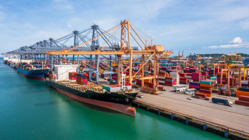 Aldo Vendramin analiza cómo la trazabilidad será un diferencial estratégico en las exportaciones del futuro.