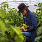 João Eustáquio De Almeida Junior analiza cómo el manejo adecuado del suelo impacta directamente en la productividad y la rentabilidad agrícola.
