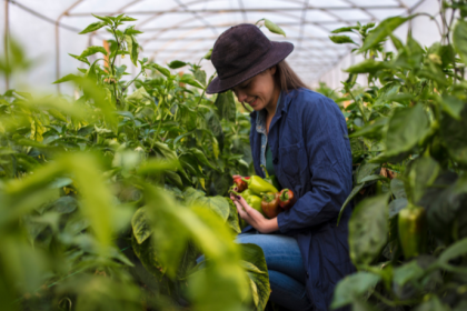 João Eustáquio De Almeida Junior analiza cómo el manejo adecuado del suelo impacta directamente en la productividad y la rentabilidad agrícola.