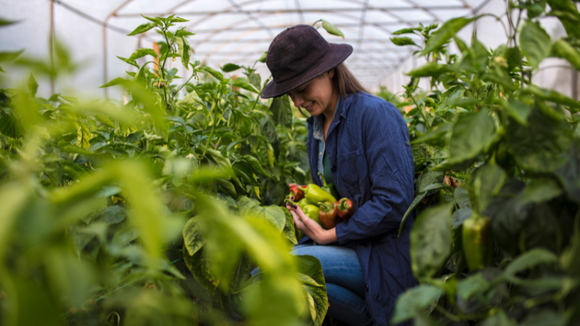 João Eustáquio De Almeida Junior analiza cómo el manejo adecuado del suelo impacta directamente en la productividad y la rentabilidad agrícola.